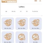 big mubbai lottery