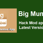 big mumbai hack mod apk latest version